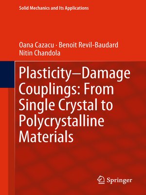 cover image of Plasticity-Damage Couplings